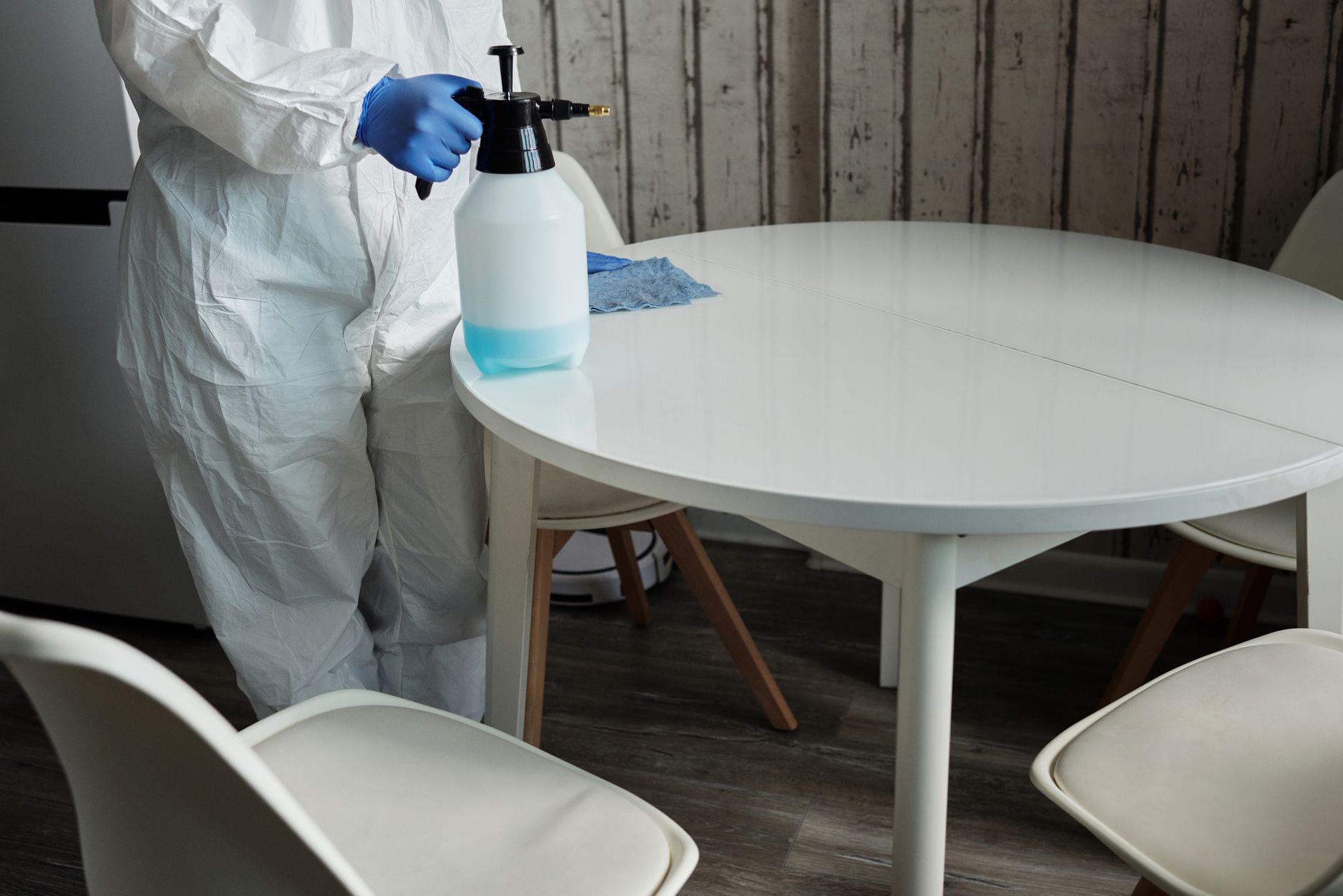 Ant & Roach Treatment – Helotes